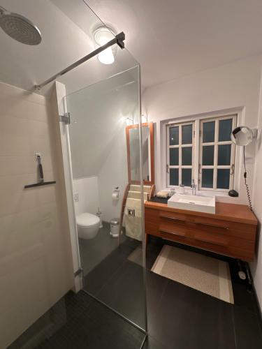 a bathroom with a sink and a toilet and a mirror at Bed and Breakfast The Old Chestnut Tree Silkeborg in Silkeborg