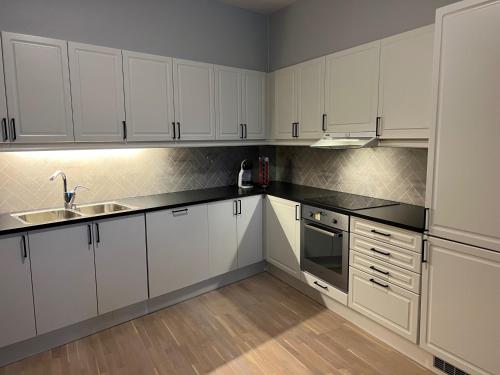 Dapur atau dapur kecil di Arctic Aurora Suite in Center of Alta