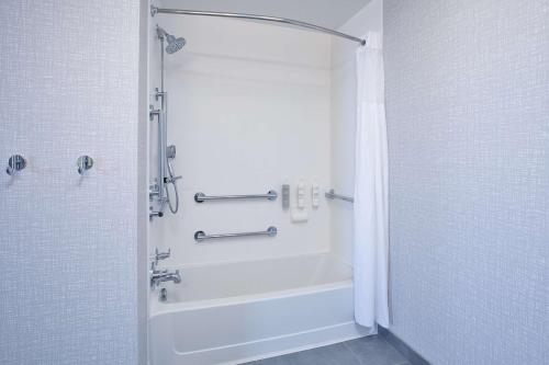 a bathroom with a shower and a bath tub with a shower at Hampton Inn Detroit - Shelby Township in Shelby