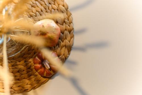 アパートメントの敷地内または近くにいる動物