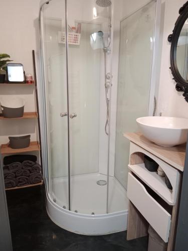 une salle de bain avec douche et lavabo dans l'établissement Pounette, appartement sauna T3, Thermes/Centre, à Luxeuil-les-Bains