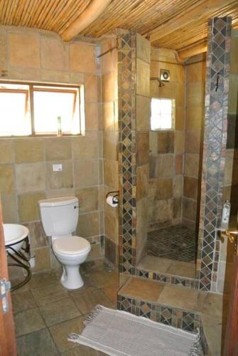a bathroom with a toilet and a shower at Klein Karoo Valley Guest Farm in Amalienstein