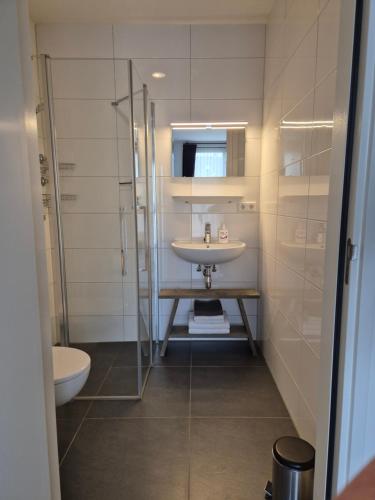 デ・コーフにあるBnB Westerduinen, De Bollekamerの洗面台とトイレ付きのバスルーム