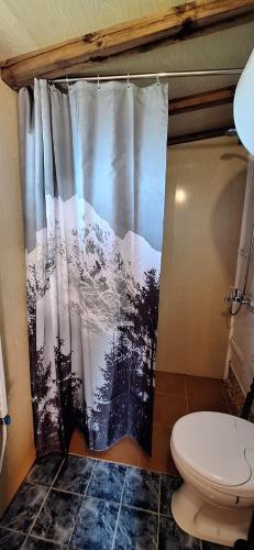 a bathroom with a toilet and a shower curtain at Вила Орцево Vila Ortsevo in Ortsevo