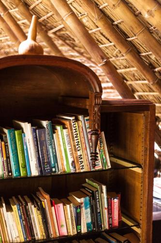 a book shelf filled with lots of books at Yolitia Wellness in Malinalco