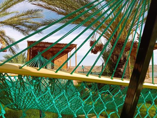 a view from the top of a bridge with a palm tree at Garden12 Outdoor & More in Douz