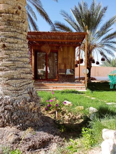 a resort with a palm tree and a house at Garden12 Outdoor & More in Douz