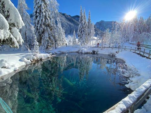 a pool of water covered in snow at Rosenholz Ferienhäuser in Köttmannsdorf