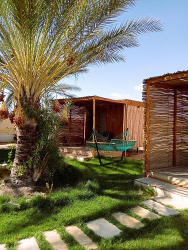 a palm tree and a hammock in a yard at Garden12 Outdoor & More in Douz