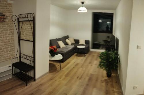 un salon avec un canapé et une table dans l'établissement Vue imprenable, à Toulouse