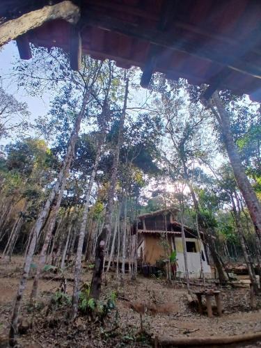een huis midden in een bos van bomen bij Canto da Águia in Ouro Preto