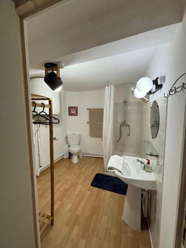 une salle de bain avec un lavabo et des toilettes dans l'établissement Central apartment in Quillan, à Quillan