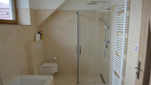 a bathroom with a shower and a toilet at Residence Lhotka - Žďárské vrchy in Lhotka