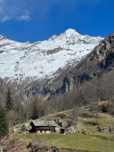 a house in a field with a snow covered mountain at Nest in Alagna in Alagna Valsesia