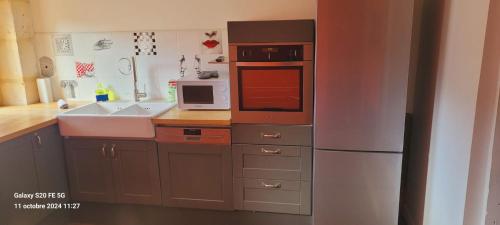 une cuisine avec un réfrigérateur et un micro-ondes dans l'établissement La Demeure Trousseau - Hypercentre historique au calme, à Bourges