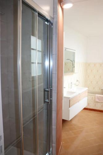 une salle de bain avec douche et lavabo dans l'établissement 3 Aux Dames Vertes, à Cuzion