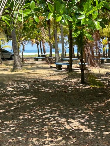 a park with trees and benches on the beach at Apartamento Colibri in Parrita