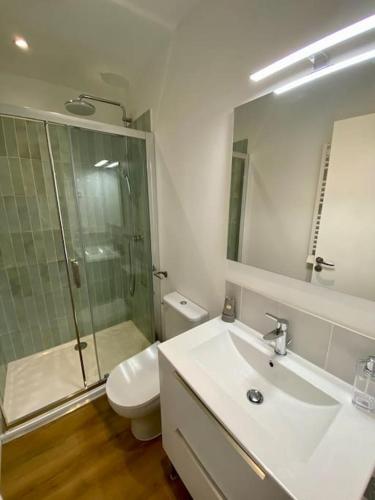 a bathroom with a toilet and a sink and a shower at T2 échappée belle Albi in Albi