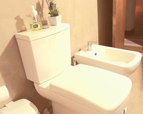 ein Badezimmer mit einer weißen Toilette und einem Waschbecken in der Unterkunft Infinito in Punta del Este