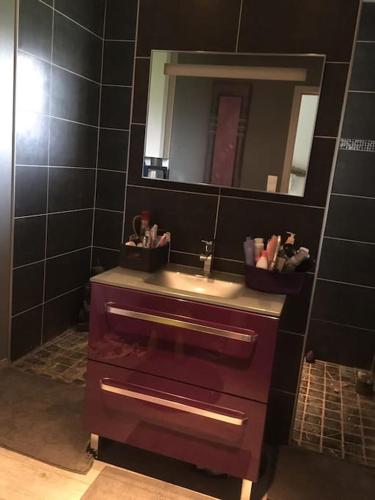 une salle de bain avec un lavabo et un miroir dans l'établissement Maison au calme, à Saint-Jean-des-Champs