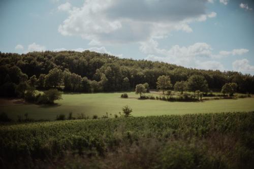 Naturlandschaft in der Nähe der Ferienwohnung