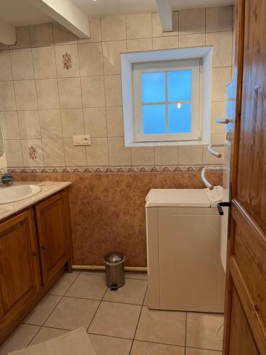 a small bathroom with a sink and a washing machine at Gîte famille Galiber in Lacaune