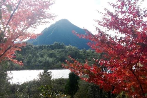 a mountain in the distance with a lake and trees at cabaña en la naturaleza in Futrono