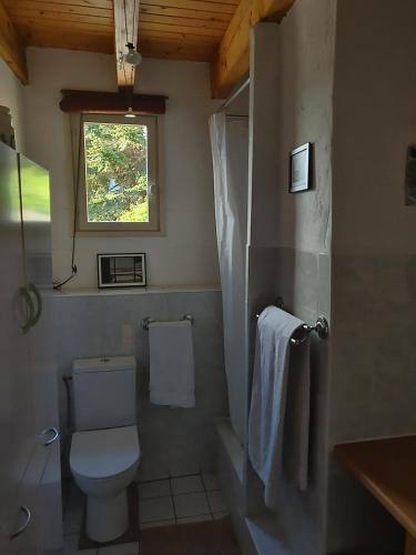 une salle de bain avec toilettes et fenêtre dans l'établissement Gîte Canigou, à Jujols