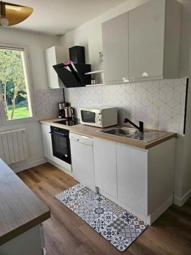 une cuisine avec un évier et un micro-ondes dans l'établissement Maison familiale Les 3 commères, à Pleuven