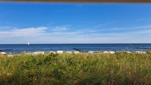 Afbeelding uit fotogalerij van Fewo unter der Kühlung in Bastorf