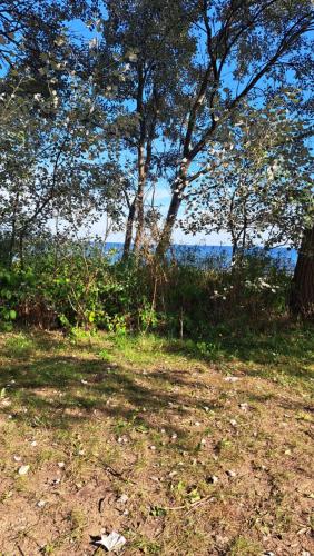 Afbeelding uit fotogalerij van Fewo unter der Kühlung in Bastorf