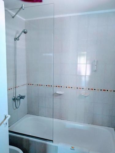 a shower with a glass door in a bathroom at Apart Hotel Guarumba in Federación