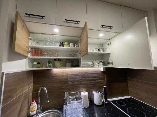 Kuchyň nebo kuchyňský kout v ubytování Apartman Dora