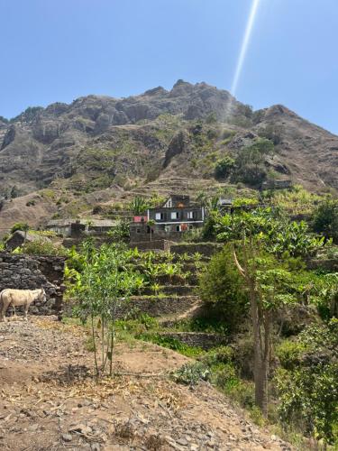 a house on the side of a mountain at Casa Branca in Ponta do Sol