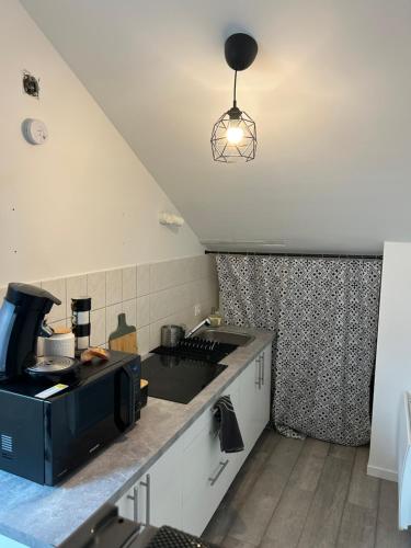 une cuisine avec un évier et un micro-ondes dans l'établissement Studio Metz centre & gare, à Metz