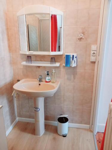 une salle de bain avec un lavabo et un miroir dans l'établissement Les Sables d'Olonne - Arago - Le 16, à Les Sables-dʼOlonne