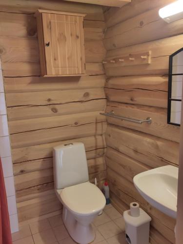 un baño con inodoro y lavabo en Coazy cabin with sauna, en Trysil