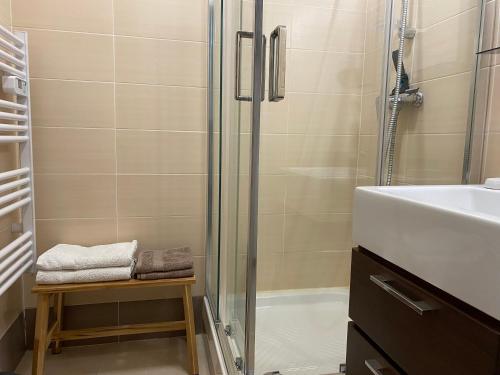 Koupelna v ubytování Apartment Superior Santa Cruz