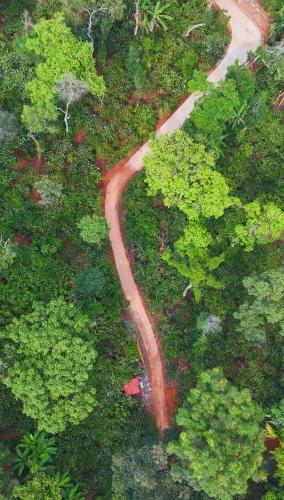 an aerial view of a winding road through a forest at Navut Homestay - Serenity Among Coffee Plantations in Virajpet