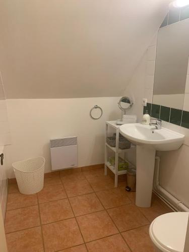 une salle de bain avec un lavabo et des toilettes dans l'établissement Superbe duplex les belles Rives Argentat bords Dordogne avec wifi, à Argentat