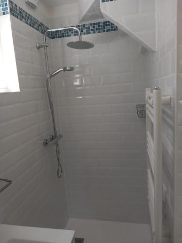 une cabine de douche dans une salle de bain avec toilettes dans l'établissement maison avec jardin et terrasse, à Orsay