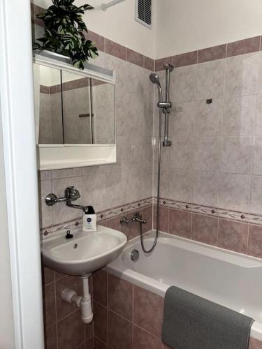 a bathroom with a sink and a bath tub with a mirror at Útulný byt v blízkosti centra in Juliánov