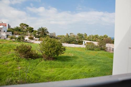 a view from a window of a green field with bushes at B&B Alalama in Polignano a Mare
