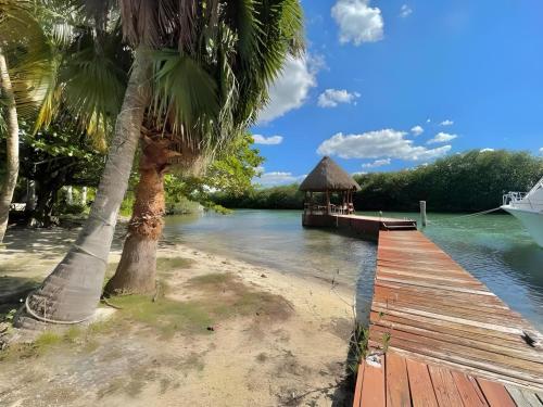 ein Dock mit einem Pavillon an einem Fluss mit Palmen in der Unterkunft Private Villa By Andani in Cancún