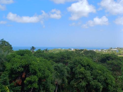 Rooster Run Camping is a - rooftop & elevated camping experience! Incredible views of The Rain Forrest and Culebra across the Atlantic Ocean - Tents, towels, comfortable Air Beds, Warm Shower-Central Location- 5 beaches -25 min walk & Ferry is 20 min