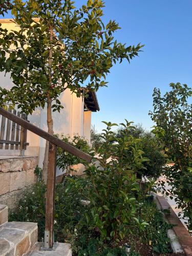a bird house on a tree next to a house at Casa vacanze La Campanella in Putignano