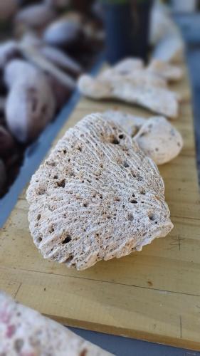 a loaf of bread sitting on a cutting board at Rooster Run Camping is a - rooftop & elevated camping experience! Incredible views of The Rain Forrest and Culebra across the Atlantic Ocean - Tents, towels, comfortable Air Beds, Warm Shower-Central Location- 5 beaches -25 min walk & Ferry is 20 min in Vieques
