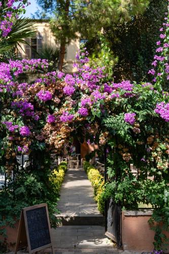 Κήπος έξω από το Anthea Butik Otel