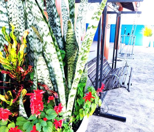 a plant in a pot with flowers and a bench at Temporada Belas Casas in São Pedro