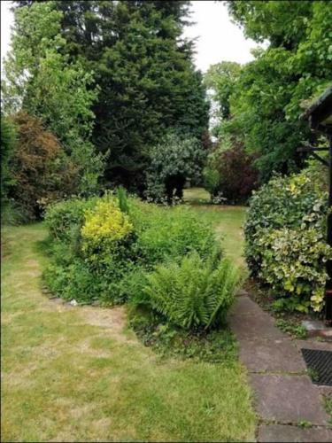 a garden with bushes and plants in the grass at Birmingham Bungalow Serviced Apartment NEC Airport Bullring in Birmingham